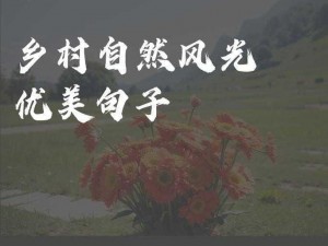 好景当前：自然与人文的交响辉映展现美丽新篇章