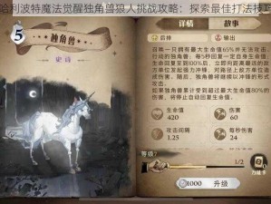 哈利波特魔法觉醒独角兽狼人挑战攻略：探索最佳打法技巧