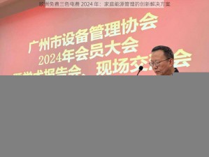 欧洲免费三色电费 2024 年：家庭能源管理的创新解决方案