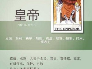 采石场惊魂：寻找皇帝塔罗牌的秘密与解析之旅