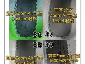 ZoomDog和ZoomCloudMeat区别_ZoomDog 和 ZoomCloudMeat 有什么区别？