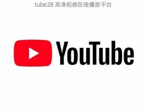 tube28 高清视频在线播放平台