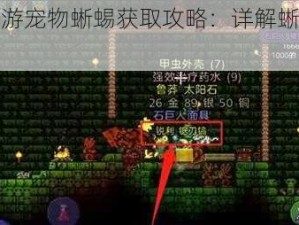 泰拉瑞亚手游宠物蜥蜴获取攻略：详解蜥蜴的获取方法与技巧