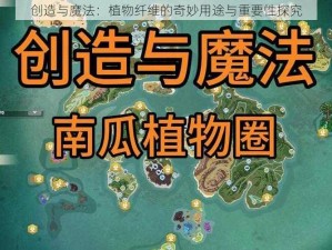 创造与魔法：植物纤维的奇妙用途与重要性探究