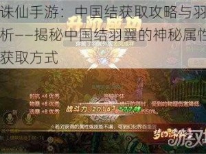 梦幻诛仙手游：中国结获取攻略与羽翼属性解析——揭秘中国结羽翼的神秘属性与独特获取方式