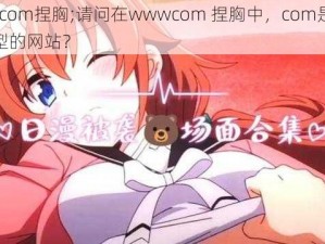 wwwcom捏胸;请问在wwwcom 捏胸中，com是指什么类型的网站？