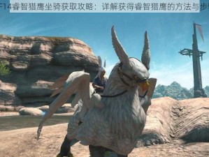 FF14睿智猎鹰坐骑获取攻略：详解获得睿智猎鹰的方法与步骤