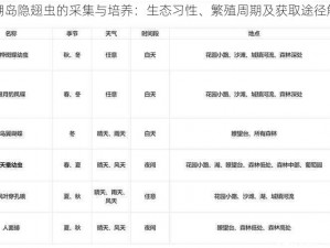 珊瑚岛隐翅虫的采集与培养：生态习性、繁殖周期及获取途径解析