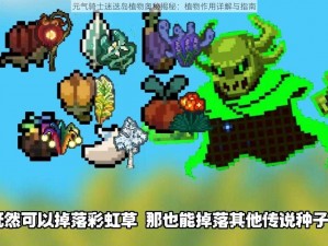 元气骑士迷迭岛植物奥秘揭秘：植物作用详解与指南