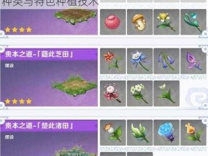 原神田亩种植作物概览：探究田亩中的作物种类与特色种植技术