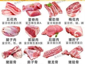 小森生活中的猪肉获取指南：探索获取途径，体验优质猪肉的来源与收获之旅