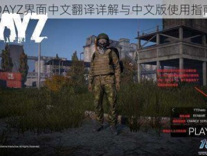 迷你DAYZ界面中文翻译详解与中文版使用指南解析