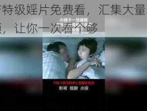 国产特级婬片免费看，汇集大量精彩视频，让你一次看个够