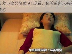 拔萝卜痛又降黄 91 现看，体验前所未有的快感