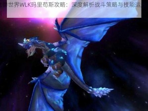 魔兽世界WLK玛里苟斯攻略：深度解析战斗策略与技能运用指南