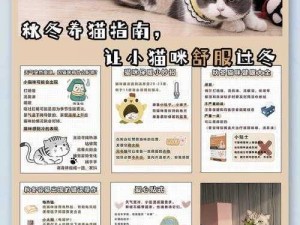 猫咪时尚新篇章：揭秘猫猫手套获取指南