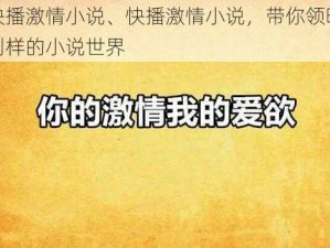 快播激情小说、快播激情小说，带你领略别样的小说世界