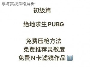 绝地求生新手系统攻略详解：入门指南、技巧分享与实战策略解析