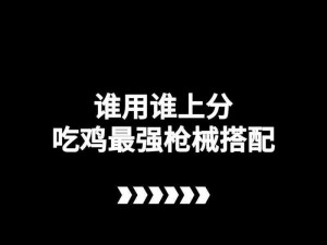 和平精英身法哥终极攻略：最强搭配揭秘，战斗技巧与装备选择助你登顶荣耀之巅