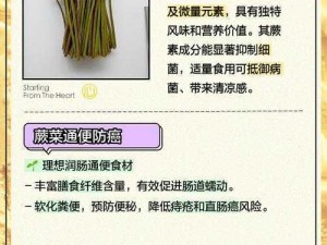 幻塔蕨菜大解密：全面解析蕨菜特性与食用魅力