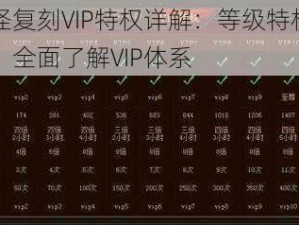 口袋妖怪复刻VIP特权详解：等级特权与价格一览表，全面了解VIP体系