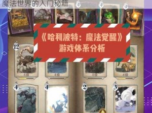 哈利波特魔法觉醒新手宝典：从零开始，掌握魔法世界的入门秘籍