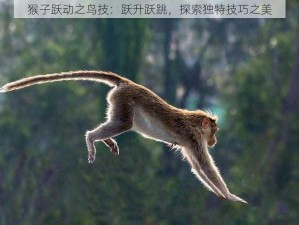 猴子跃动之鸟技：跃升跃跳，探索独特技巧之美