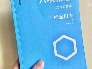 《大侠之路：内力精进秘籍与途径详解》