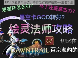 FF14学者新手必读：单体治疗巅峰指南——王者手册