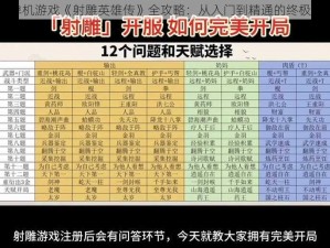 PS单机游戏《射雕英雄传》全攻略：从入门到精通的终极指南