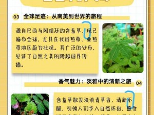 含羞草的茎早晚上的特点-含羞草的茎在早晚有什么不同特点呢？