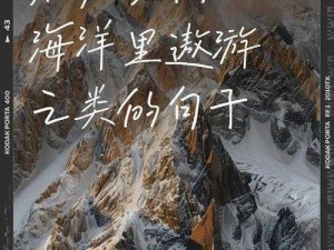 语文课代表你的水好多文章——全新体验，让你畅游知识海洋