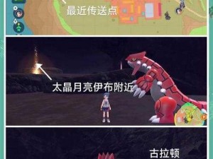 口袋妖怪3DS煤炭龟与果然翁闪避战术深度解析：实战打法详解