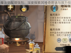 哈利波特魔法觉醒增强剂：深度探索其神奇用途与效力提升之奥秘