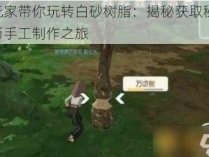 老玩家带你玩转白砂树脂：揭秘获取秘籍，亲历手工制作之旅