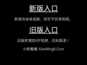 小明看看永久局域首页——一款专注于提供稳定、高效、安全网络连接的产品