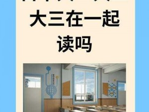 日本免费一二三区、日本免费一二三区，你了解多少？