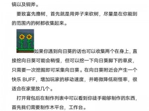 苹果泰拉瑞亚与安卓联机互通攻略：游戏联机指南与操作步骤揭秘