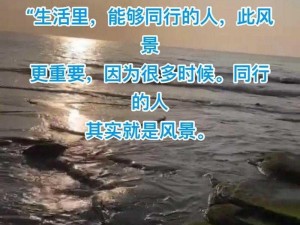 追寻生活之美：沿途风景皆可期，过好自己的生活之路