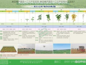 麻豆精产国品一二三产区区别-麻豆精产国品一二三产区有什么区别？