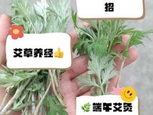 在逃生游戏里花式挨草怎么做【在逃生游戏里，如何花式挨草求生？】