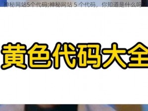 神秘网站5个代码;神秘网站 5 个代码，你知道是什么吗？