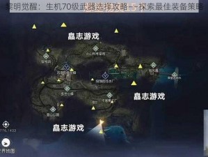 黎明觉醒：生机70级武器选择攻略——探索最佳装备策略