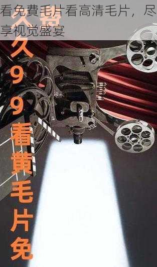 看免費毛片看高清毛片，尽享视觉盛宴