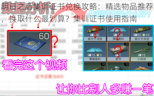 明日之后集训证书兑换攻略:精选物品推荐,换取什么最划算?集训证书使用指南