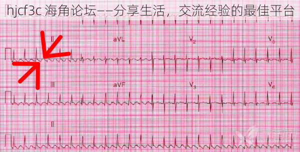 hjcf3c 海角论坛——分享生活，交流经验的最佳平台