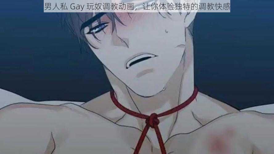 男人私 Gay 玩奴调教动画，让你体验独特的调教快感