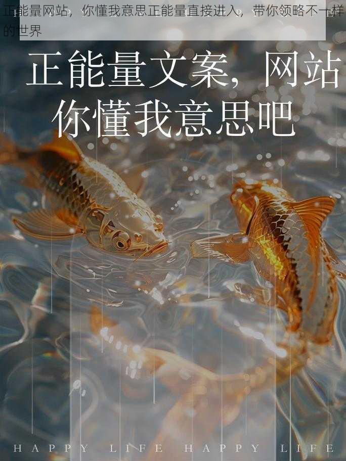 正能量网站，你懂我意思正能量直接进入，带你领略不一样的世界