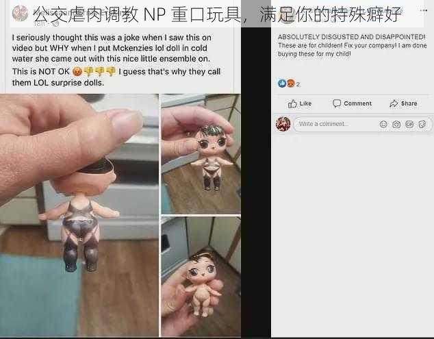 公交虐肉调教 NP 重口玩具，满足你的特殊癖好