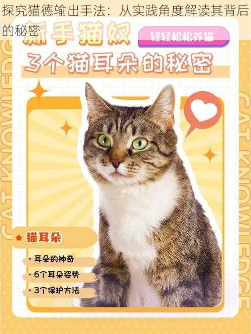 探究猫德输出手法：从实践角度解读其背后的秘密